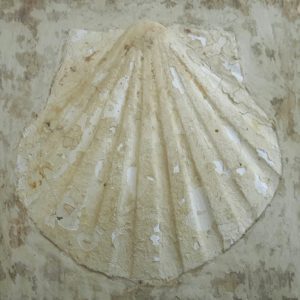 tommaso-de-carlo-decoratori-firenze-gallery