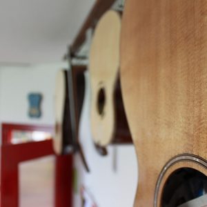guarnieri-luthiers-vigliano-biellese-biella-gallery-2