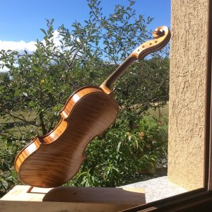 mauro-lunati-luthiers-genova-gallery-2