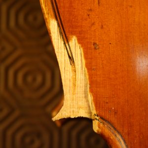 julia-de-lucca-luthier-milan-gallery-3