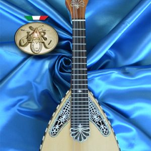 rocco-amendola-luthier-castel-san-giorgio-salerno-gallery-2