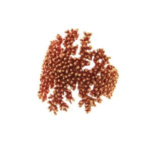 daniela-de-marchi-orafi-e-gioiellieri-milano-gallery