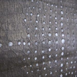 fabscarte-artigiani-della-carta-milano-gallery